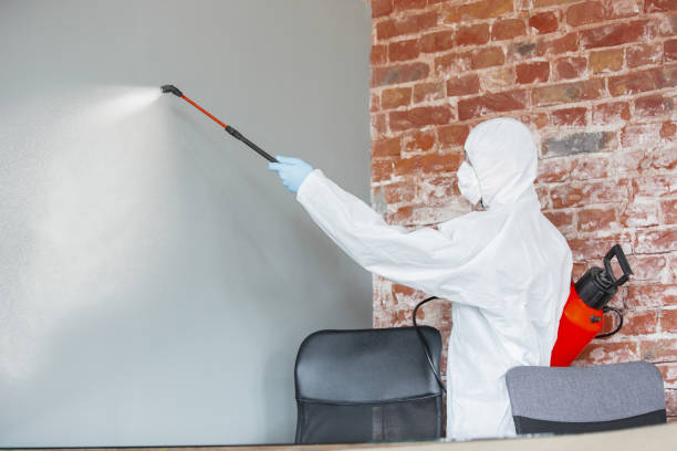 Best Residential Mold Inspection & Testing  in Roscommon, MI