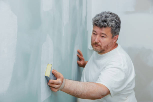 Best Mold Odor Removal Services  in Roscommon, MI