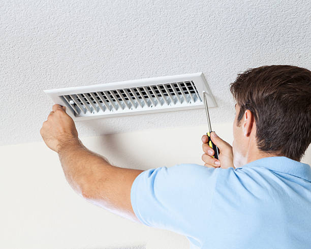Forensic Mold Investigation in Roscommon, MI