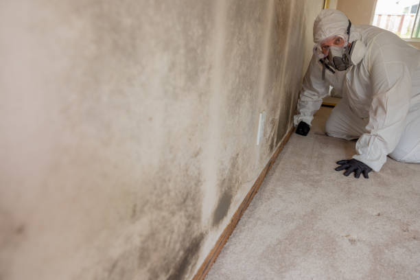Best Air Quality Testing for Mold Spores  in Roscommon, MI